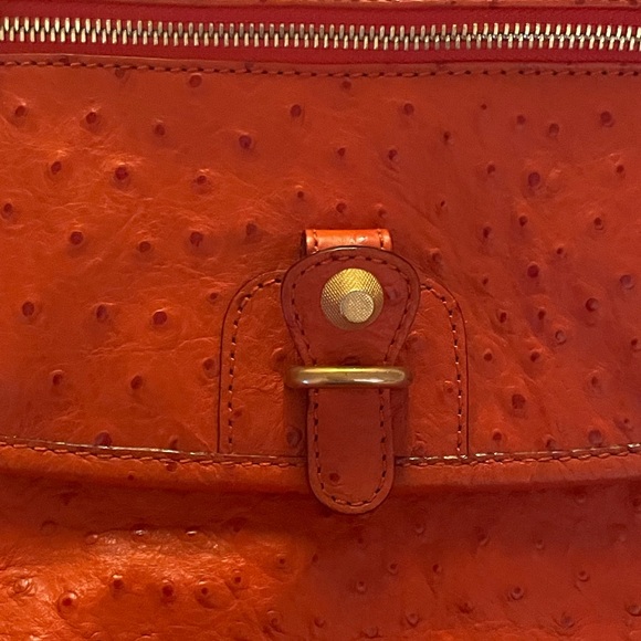 Rebecca Minkoff Ostrich Sachel Bag - Picture 2 of 12